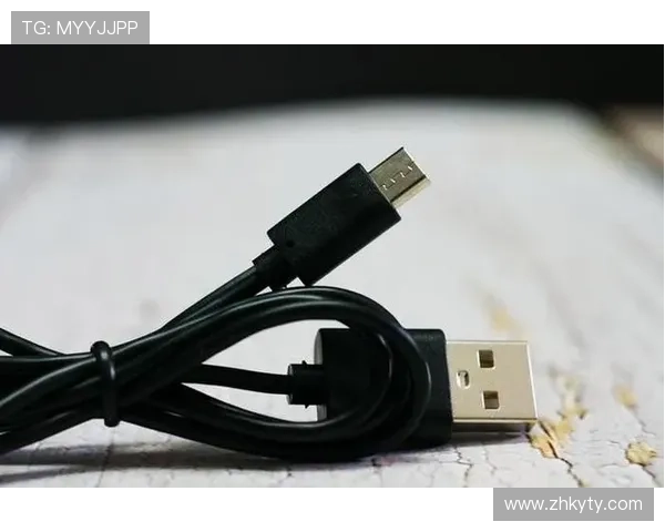 云体育app官网入口手机版安全保障措施及隐私保护策略，确保用户信息安全与畅快体验